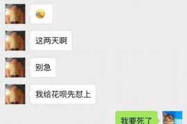 高安企业清欠服务